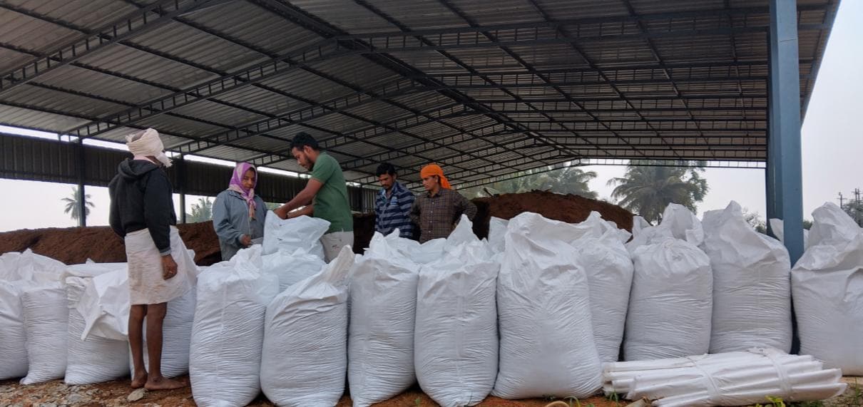 Cocopeat used from seedling to hand to potted plant